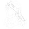 SheShips logo
